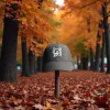 Cappellino classico "Fox Outline" Nero