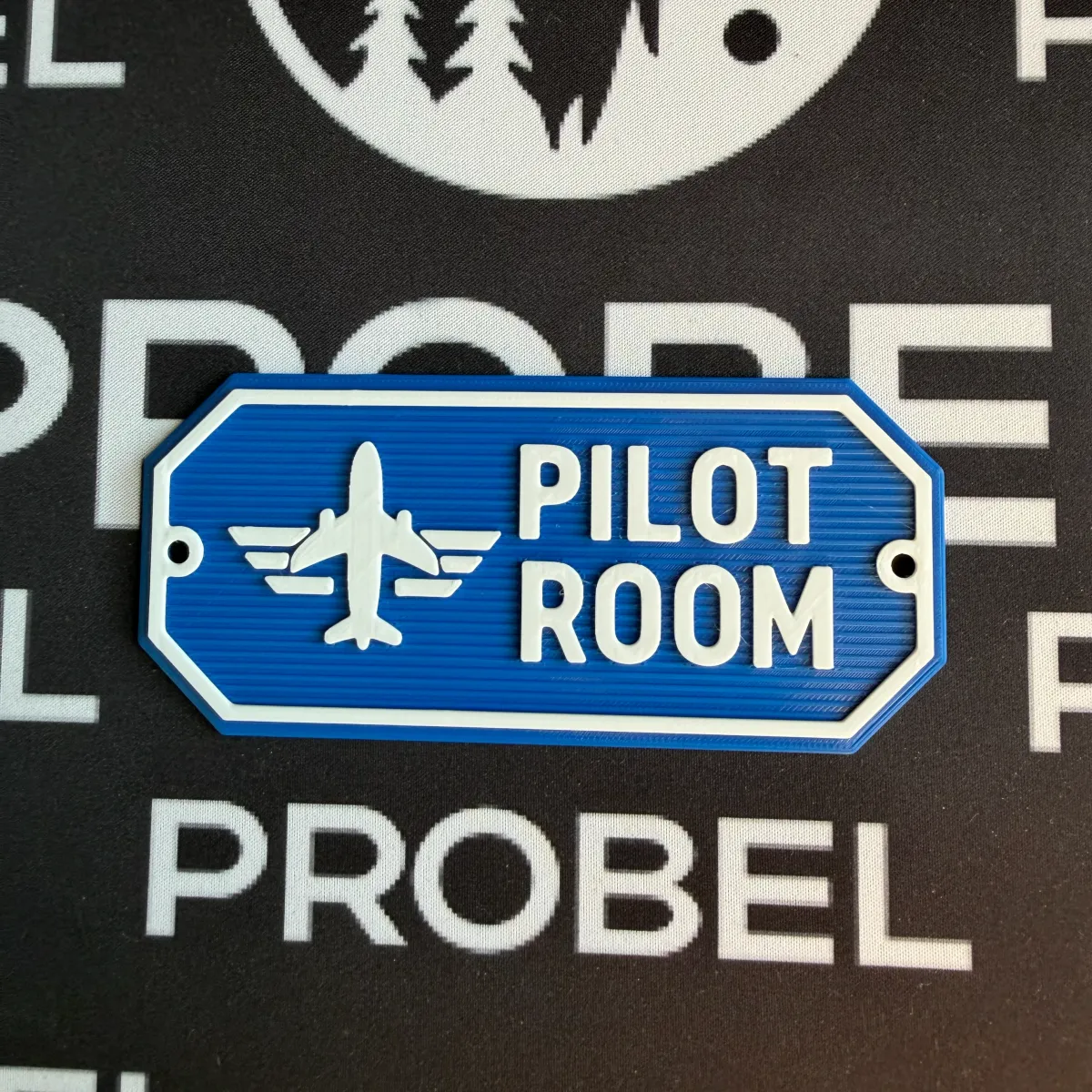 3D-Kunststoffschild "Pilot Room" – geriffelte Oberfläche