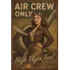 Metallschild "Air Crew Only" – Retro Aviation Design