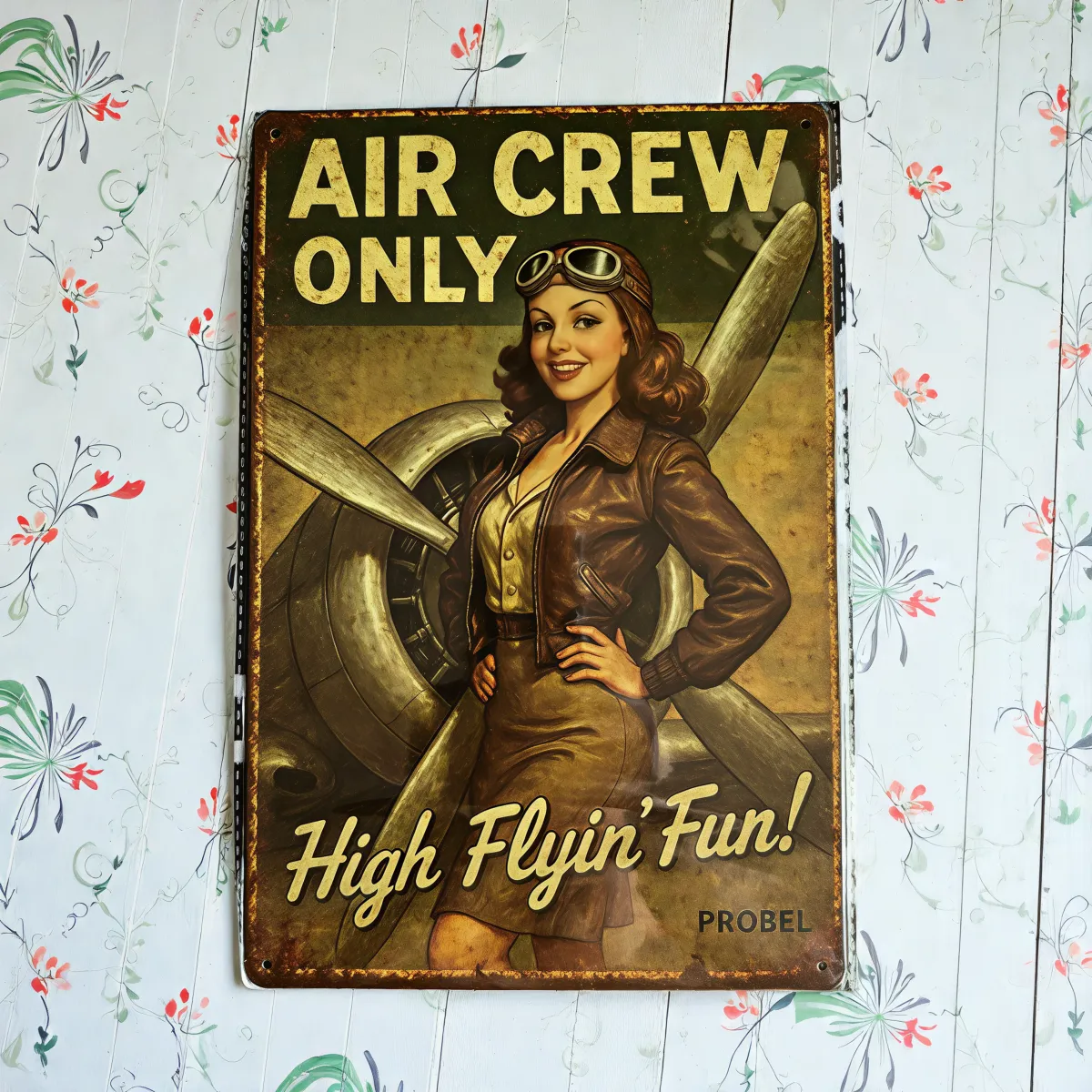 Metallschild "Air Crew Only" – Retro Aviation Design
