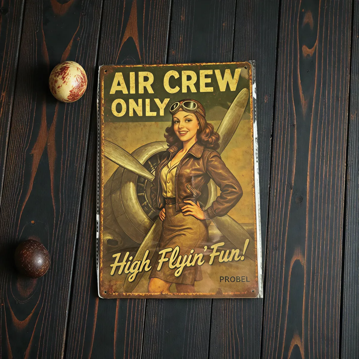 Metallschild "Air Crew Only" – Retro Aviation Design