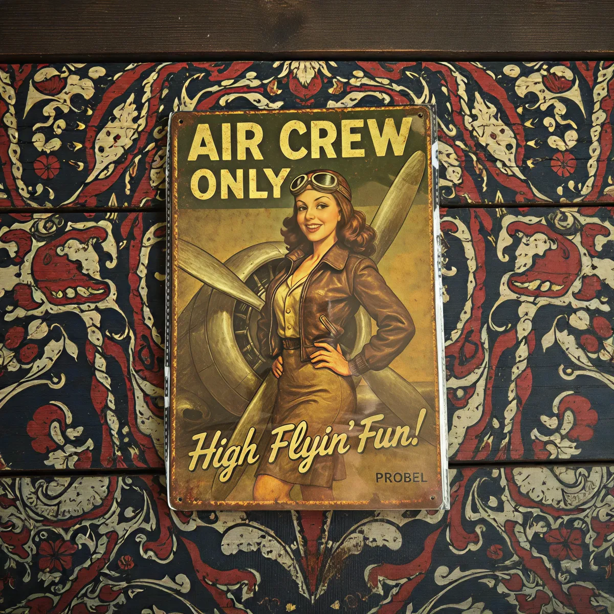 Metallschild "Air Crew Only" – Retro Aviation Design