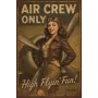 Metallschild "Air Crew Only" – Retro Aviation Design