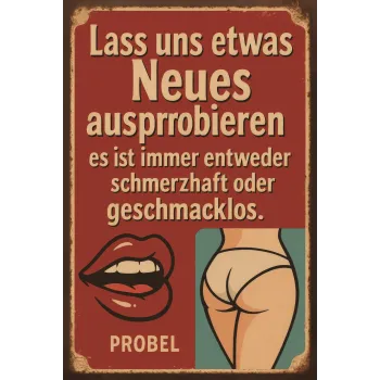 Metallschild "Lass uns etwas Neues ausprobieren", 20×30 cm