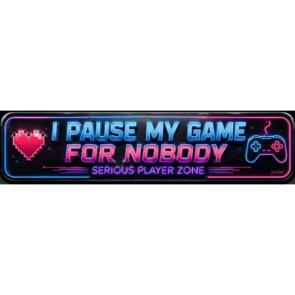 Metallschild "I Pause My Game for Nobody (ENG)", 10×40 cm