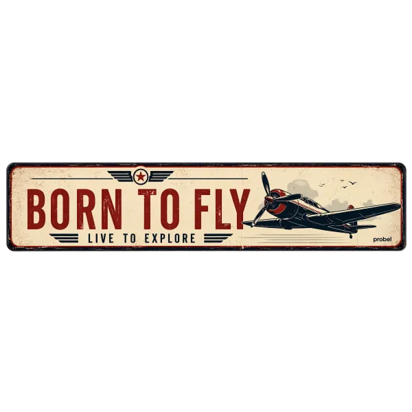 Metallschild "Born to Fly (ENG)", 10×40 cm